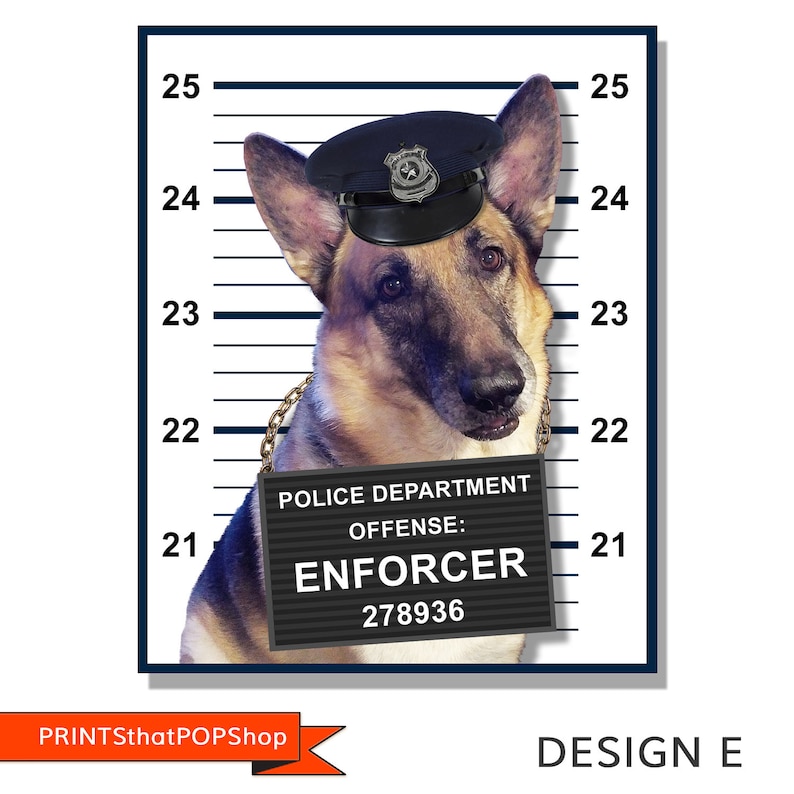 May include: A German Shepherd dog wearing a police officer's hat and a sign that reads "Police Department Offense: Enforcer 278936". The dog is standing in front of a white wall with black lines.