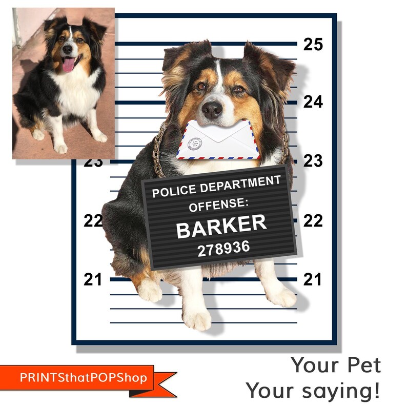 May include: A black and white dog with brown markings is wearing a black and white striped jail uniform and a sign that says "POLICE DEPARTMENT OFFENSE: BARKER 278936". The dog is holding a white envelope in its mouth.