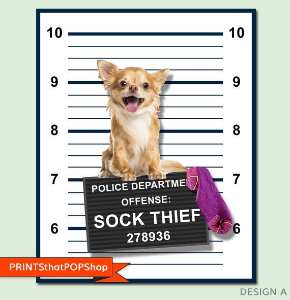 Custom Pet Photo,Your Pet Photo,Bad Dog Poster,Pet Mugshot Poster,Pet Memorial,Pet Tribute,Pet Lover Gift,Pet Decor,Vets,Funny Pet Posters Il_570xn