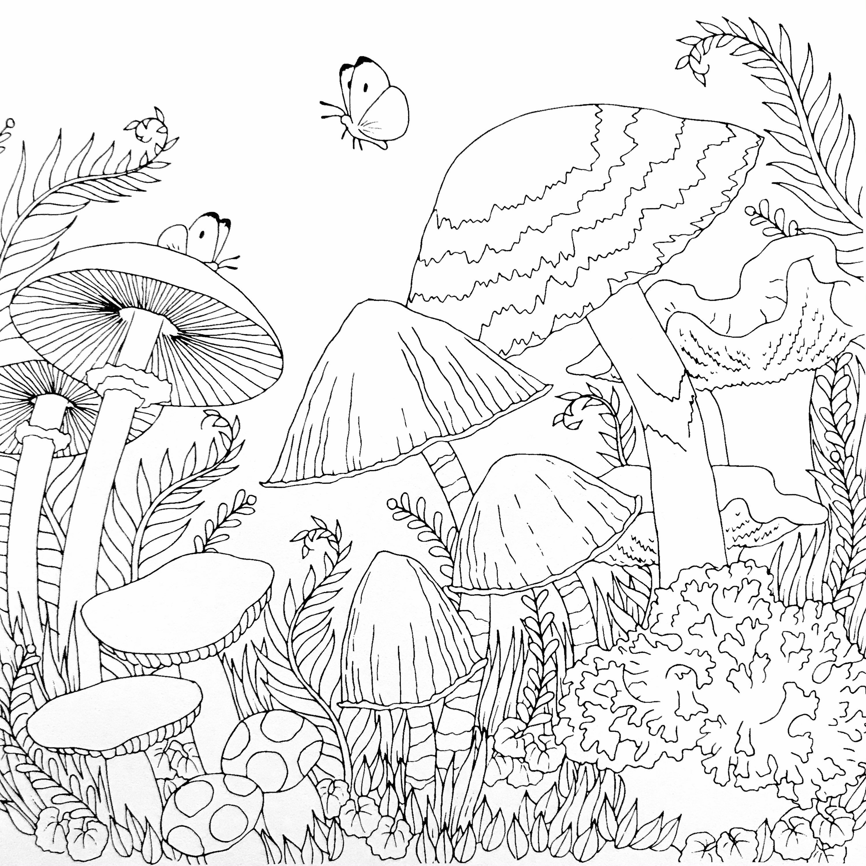 Mushrooms & bugs large coloring sheets - Pearl Paint