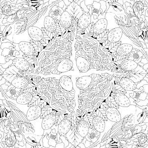 Coloring book page- Nest Symmetry