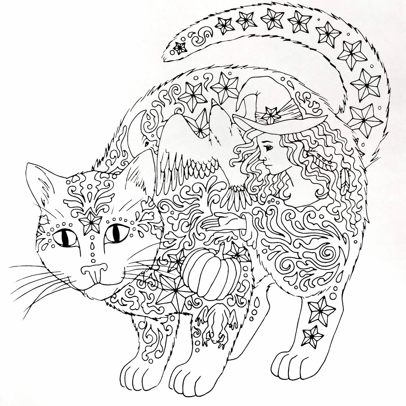 Coloring Book Page Magical Cat - Etsy