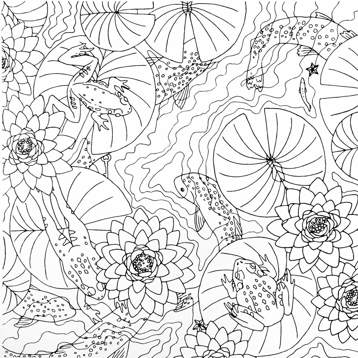 Coloring Book Page Lily Pond - Etsy