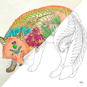 Coloring book page- Fox