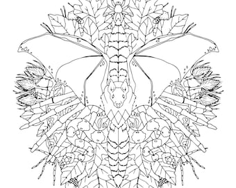 Puede incluir: Un dibujo en blanco y negro de un diseño simétrico que presenta una polilla con alas grandes, una ardilla y varios otros elementos naturales como hojas, bellotas y flores.