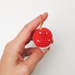Pu&ograve; includere: Un ornamento a forma di fungo in crochet rosso e bianco con pois bianchi. L'ornamento ha un laccio di corda marrone per appenderlo.