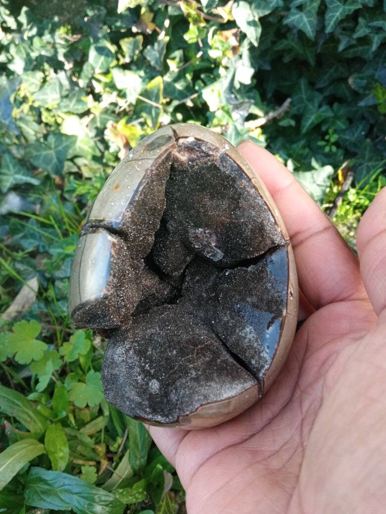 Oeuf en Septaria Sauvage 502Gr, 001