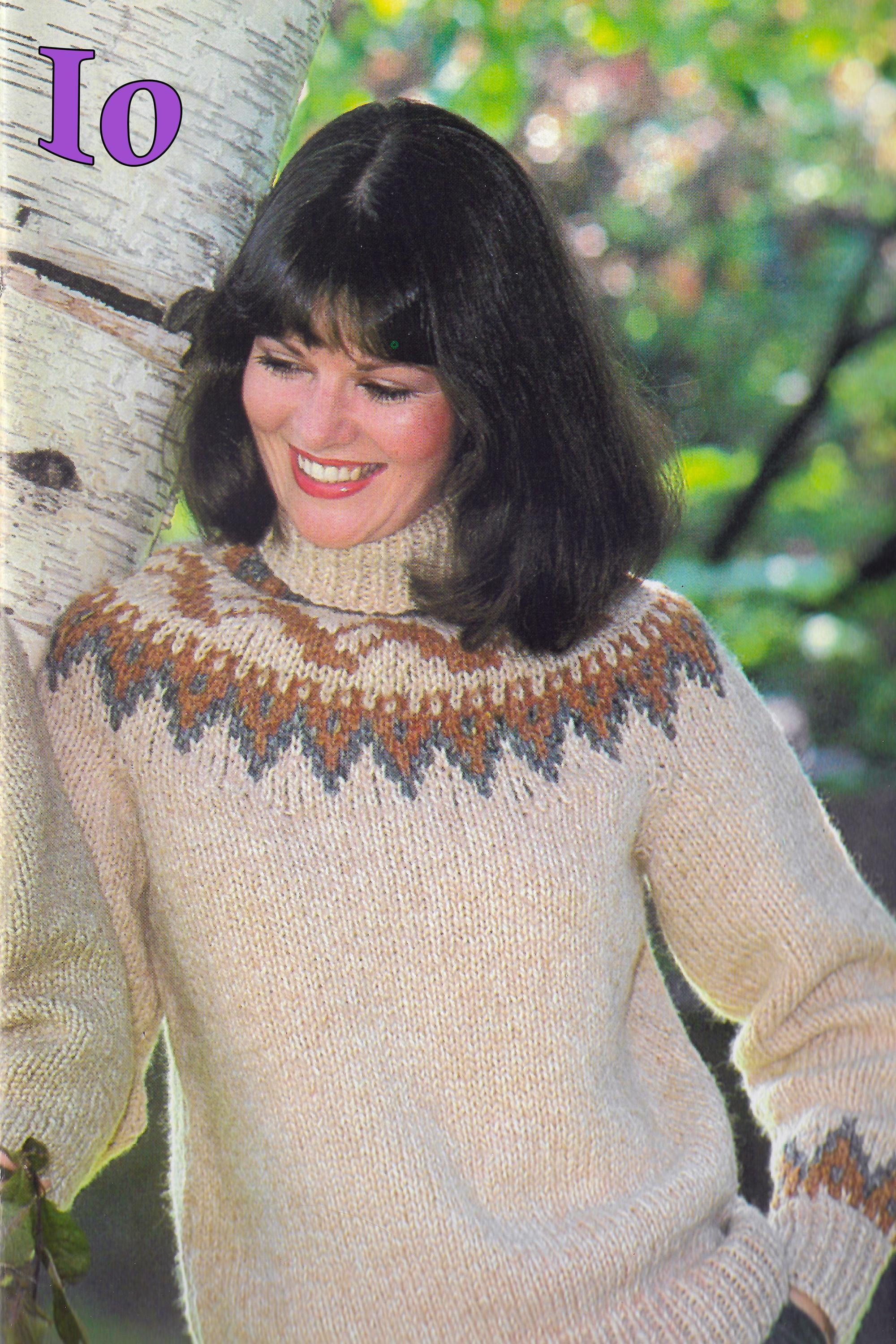 Nordic Charm Sweater Knitting Pattern | Vintage 1981 Pullover Jumper ...