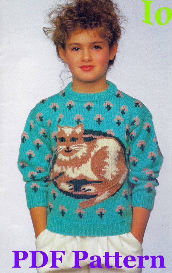 Childs Kitty Cat Sweater Knitting Pattern Vintage 1988 Kids Jumper Intarsia Colorwork Textured Embroidery PDF Download