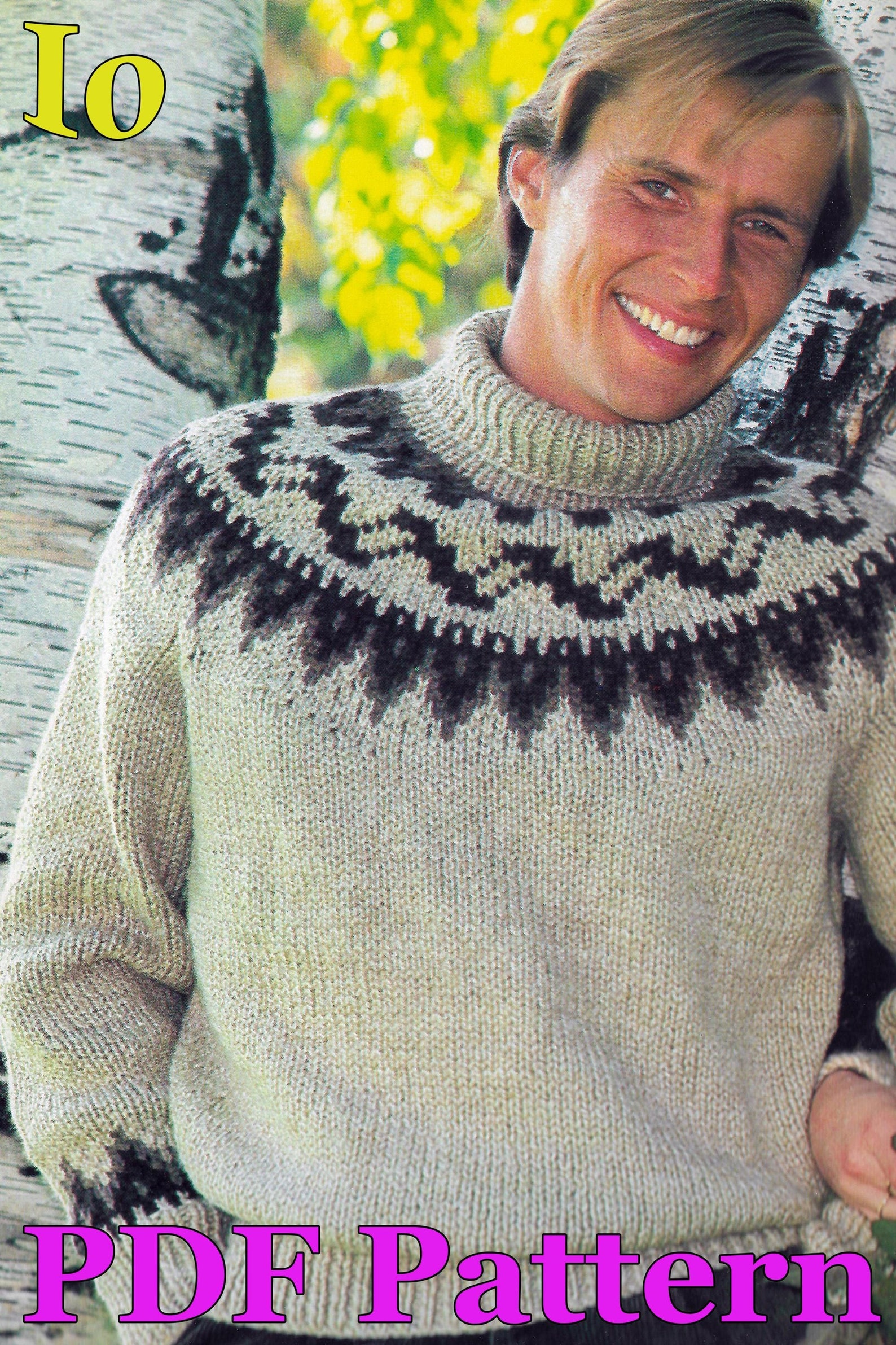 Nordic Charm Sweater Knitting Pattern | Vintage 1981 Pullover Jumper ...