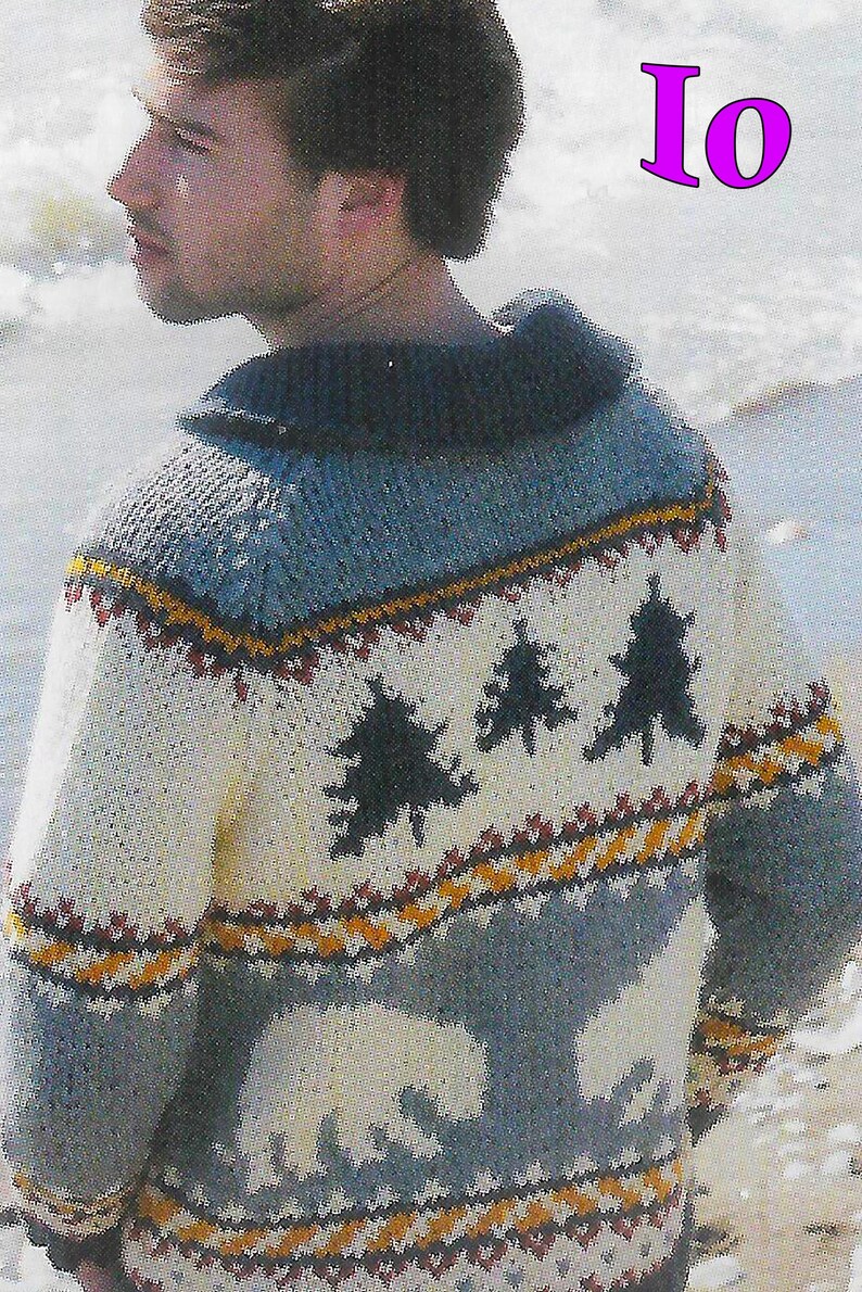 Bear Cowichan Jacket Knitting Pattern | Fair Isle Intarsia Colorwork ...