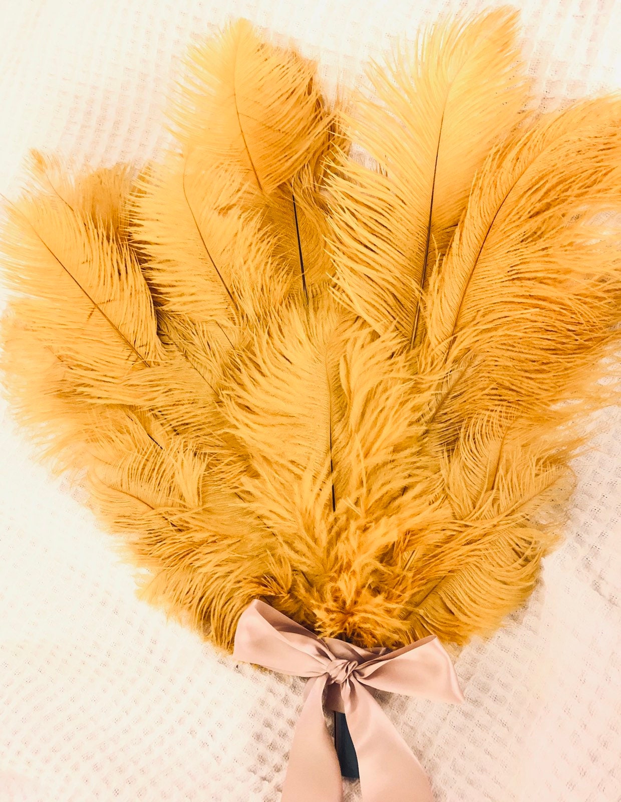 Ostrich Feather Fan | Etsy