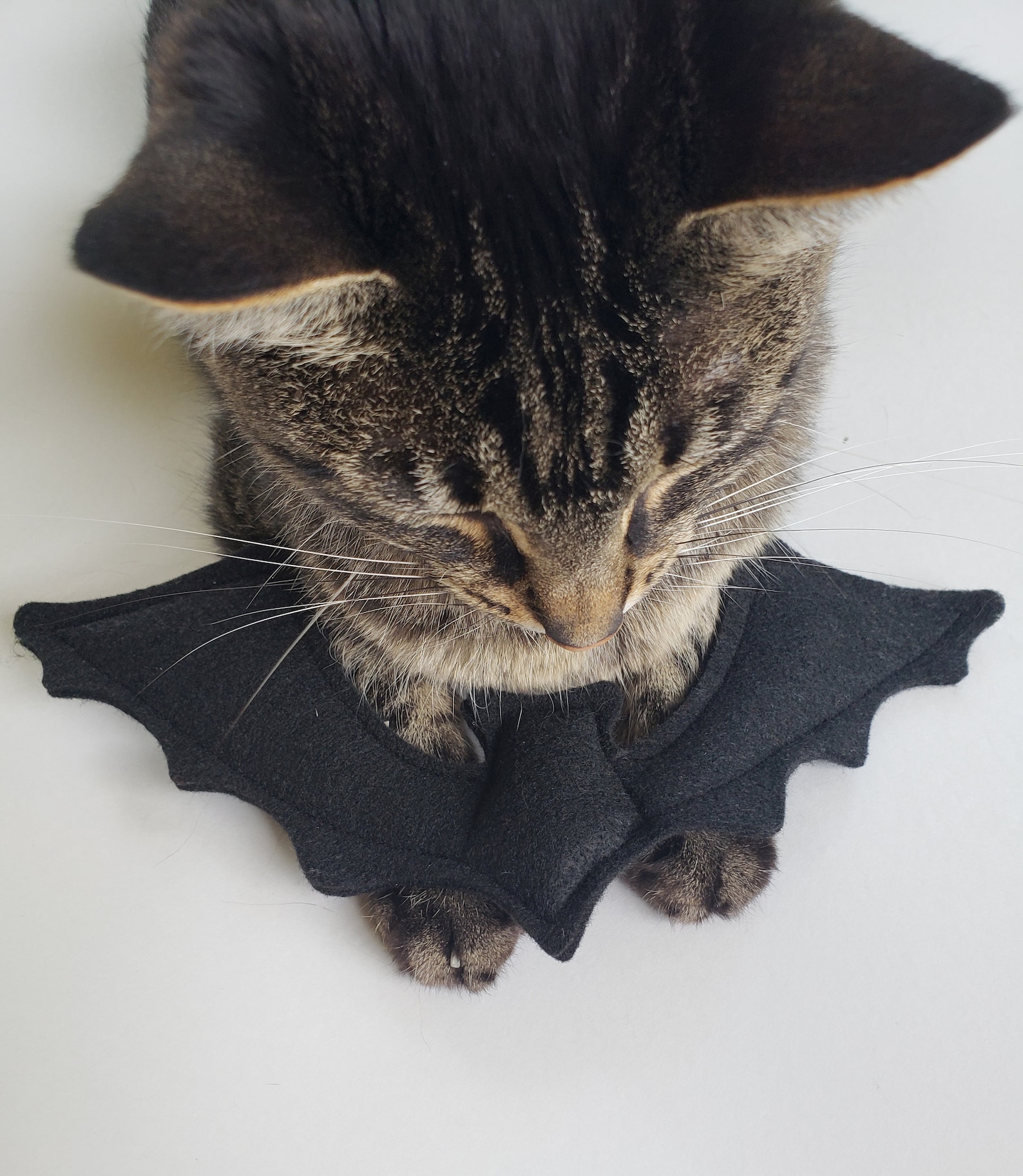 Organic Catnip Bat Cat Toy