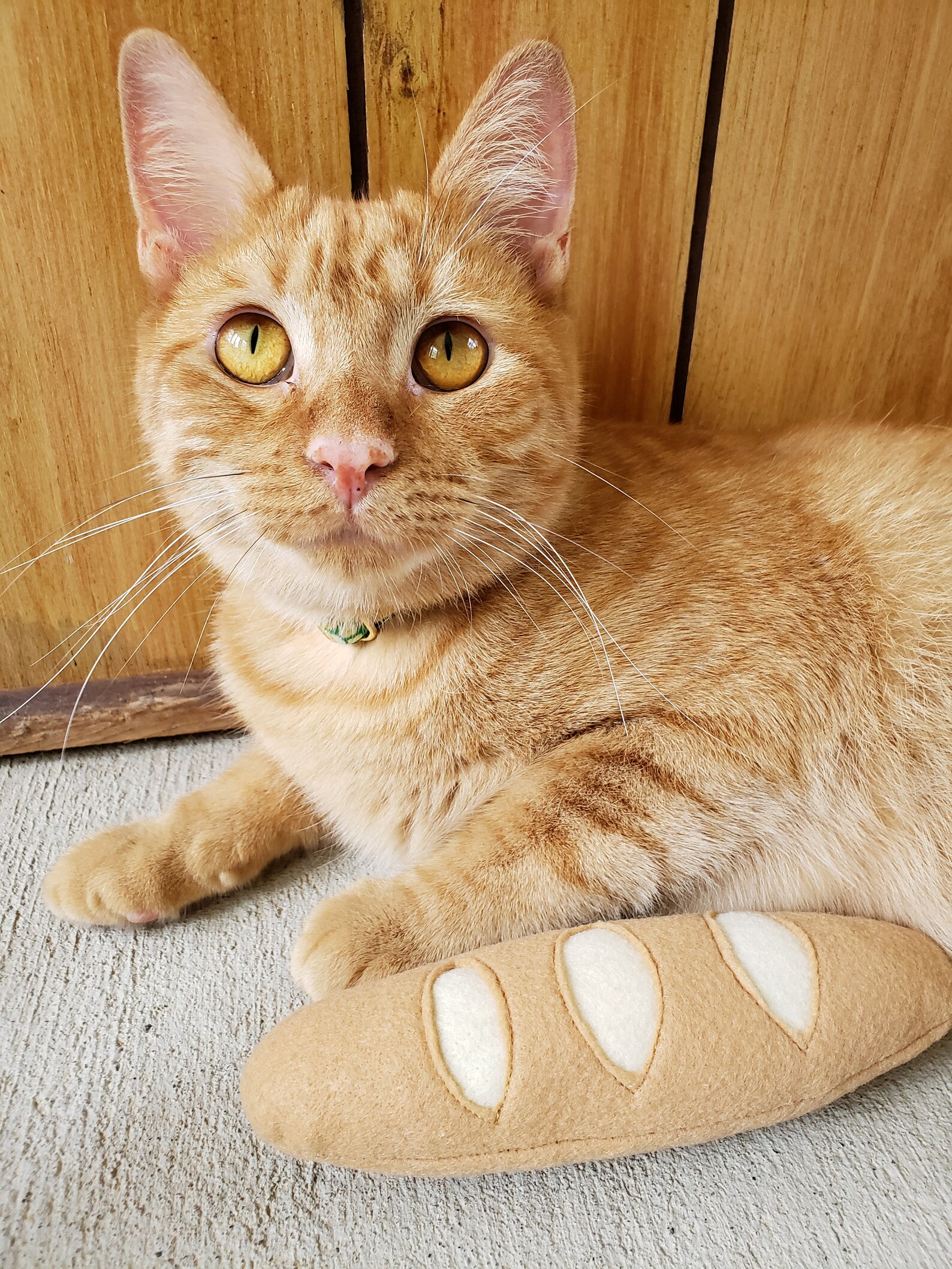 Organic Catnip Baguette Cat Toy Etsy