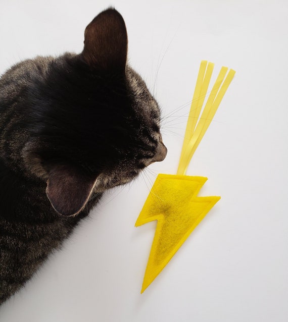 bolt cat toy