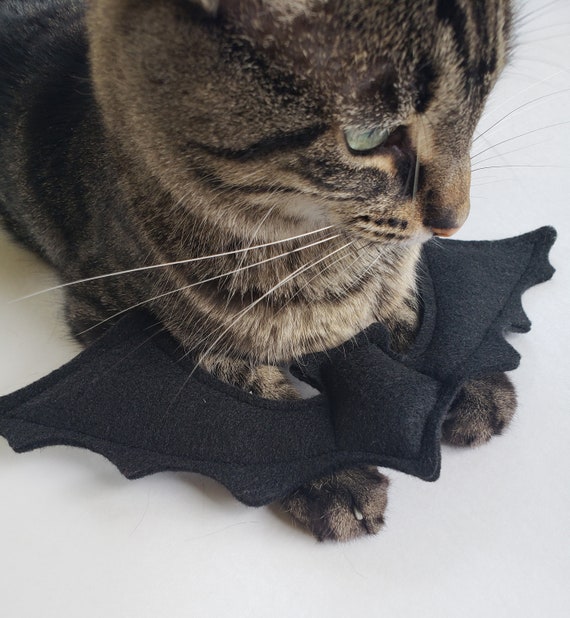 Organic Catnip Bat Cat Toy