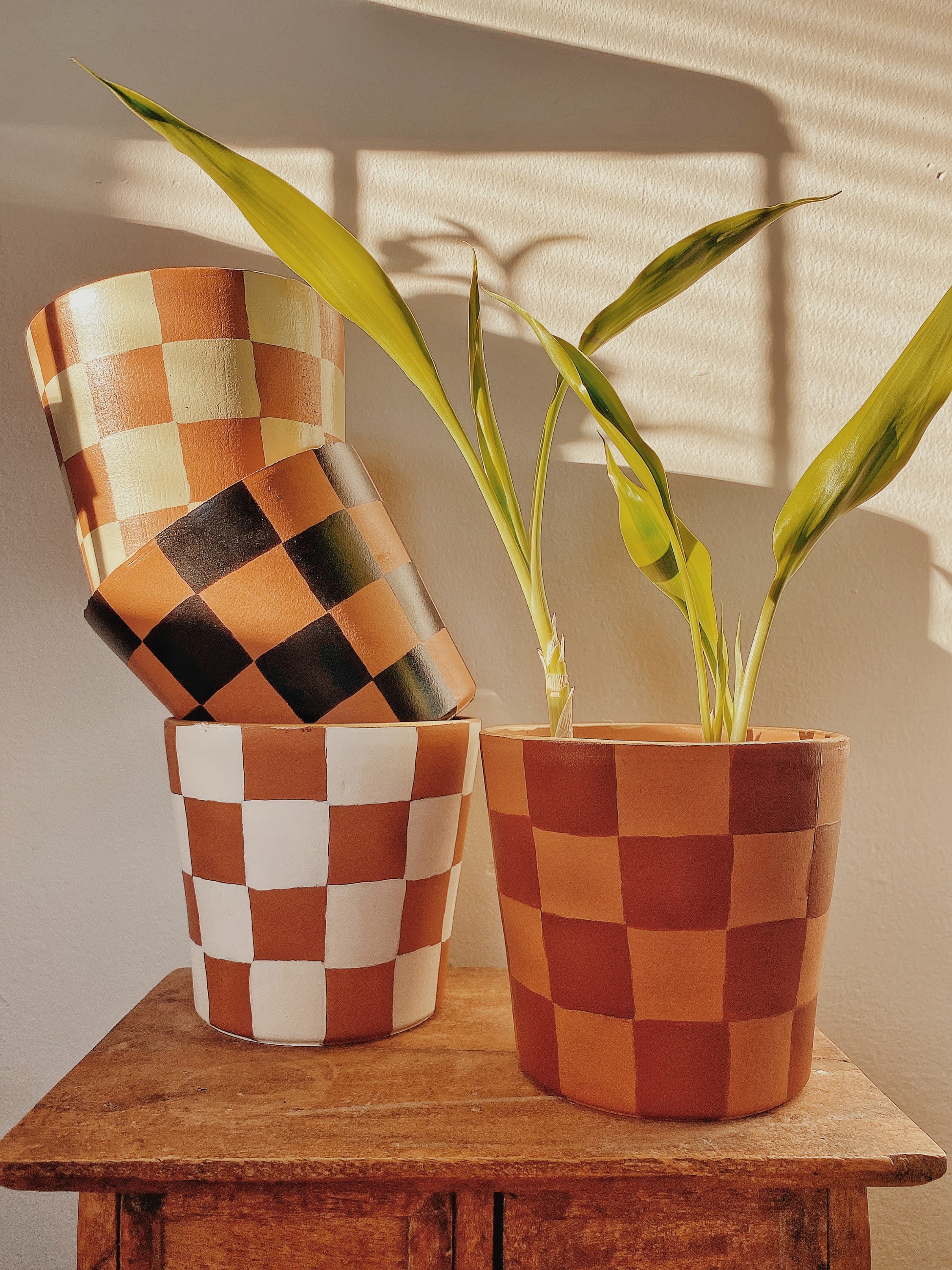 narrow planter pots Small Planter (Fits 2-2.5
