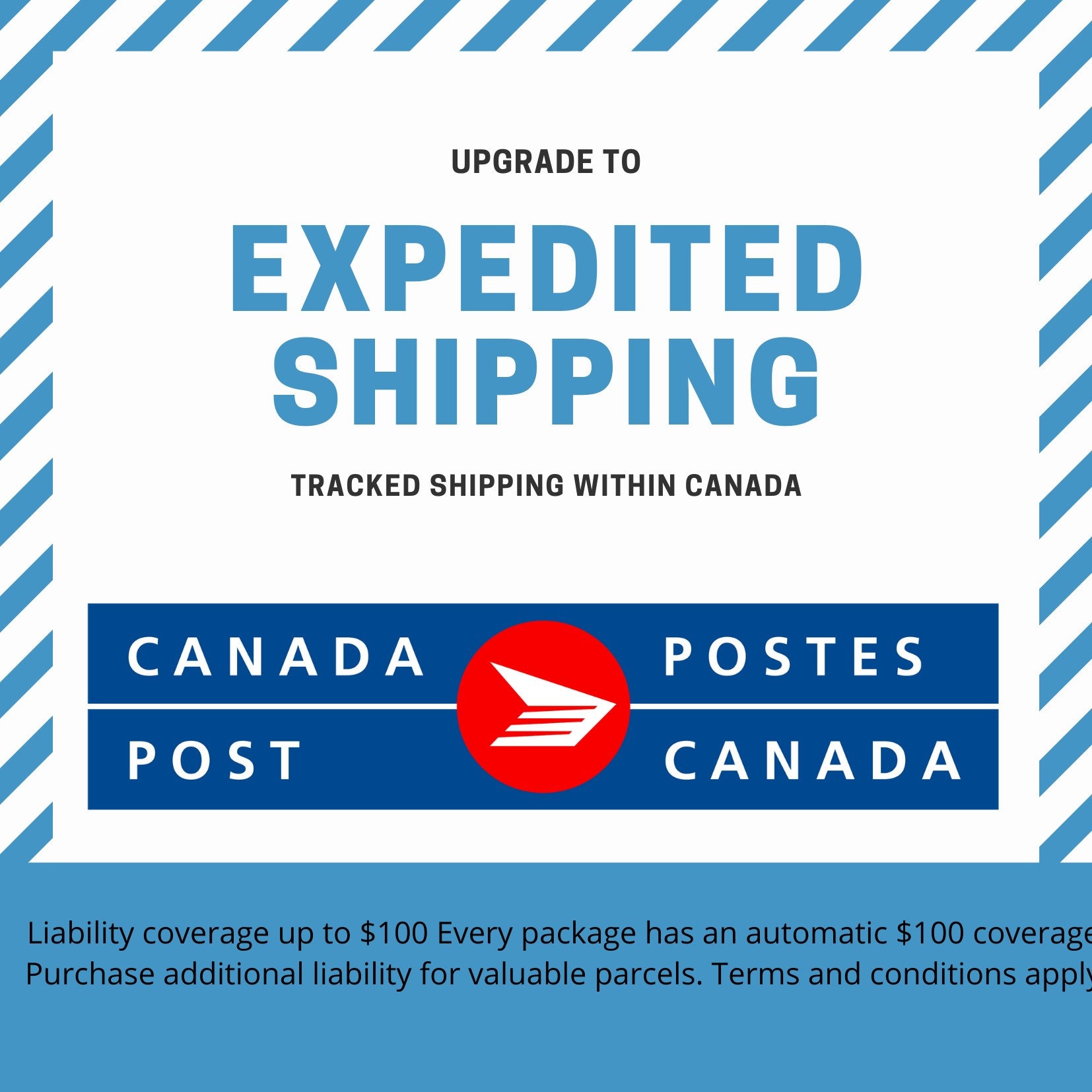 Canada Post Shipping UPGRADE Expedited Etsy