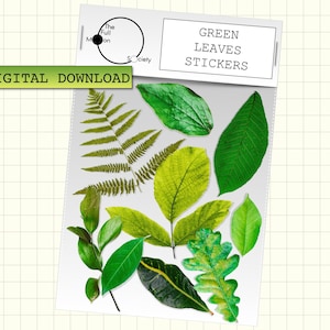 Green Leaves DIGITAL Planner Stickers. 9 realistic clipart for digital bullet journal, goodnotes, ipad etc. By The Full Moon Society.