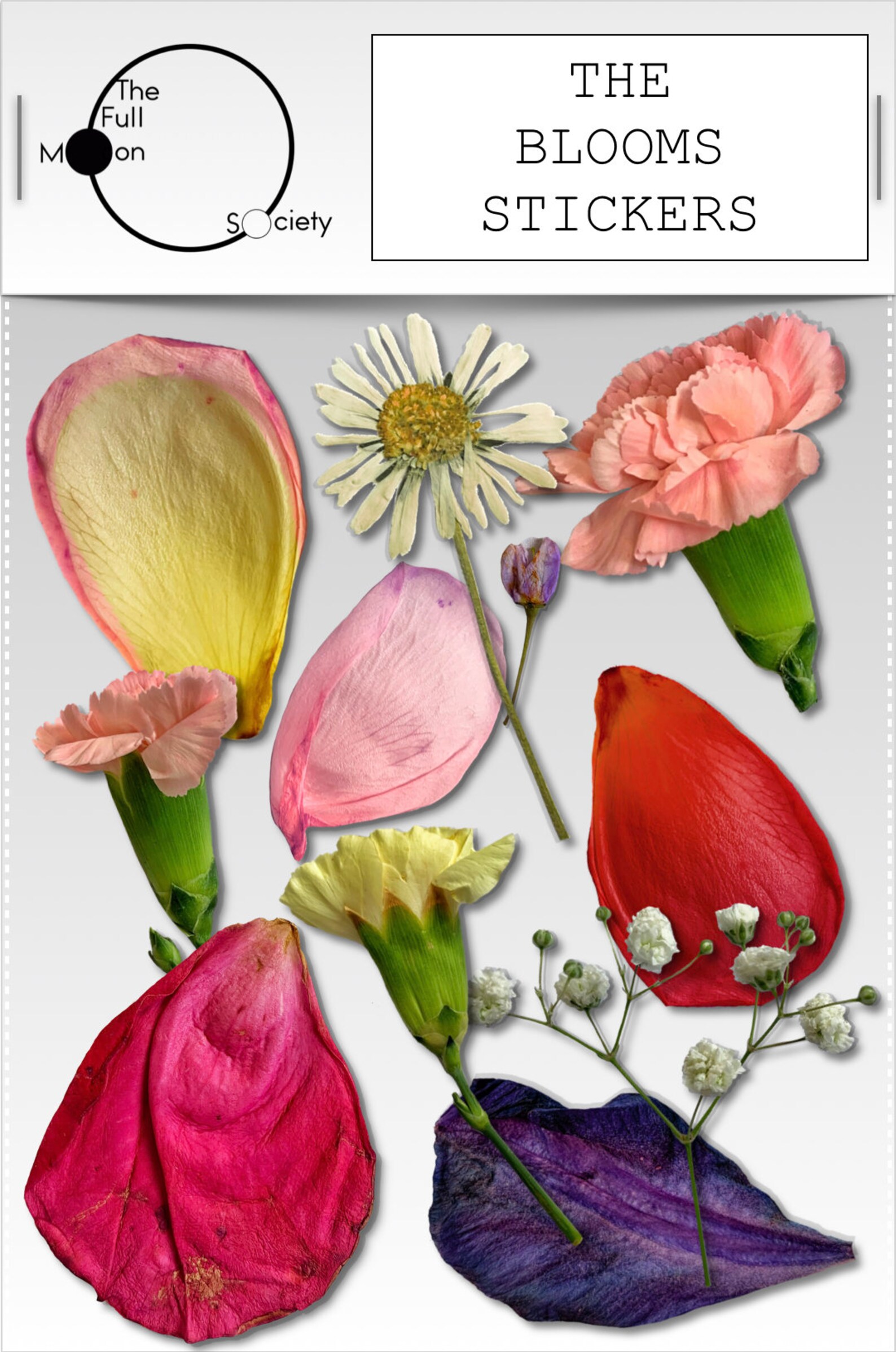 The Blooms DIGITAL Planner Stickers.11 realistic flowers | Etsy