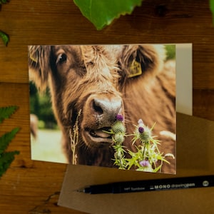 Highland Cow Greetings Cards 4 image 1