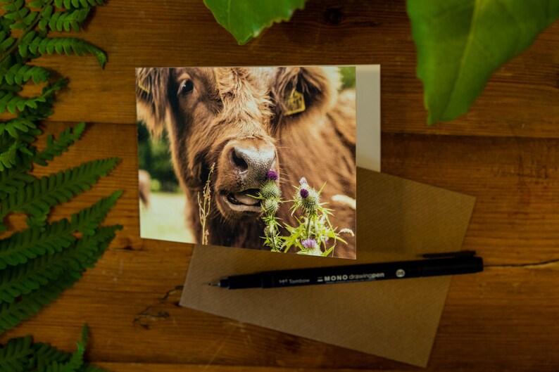 Highland Cow Greetings Cards 4 image 1