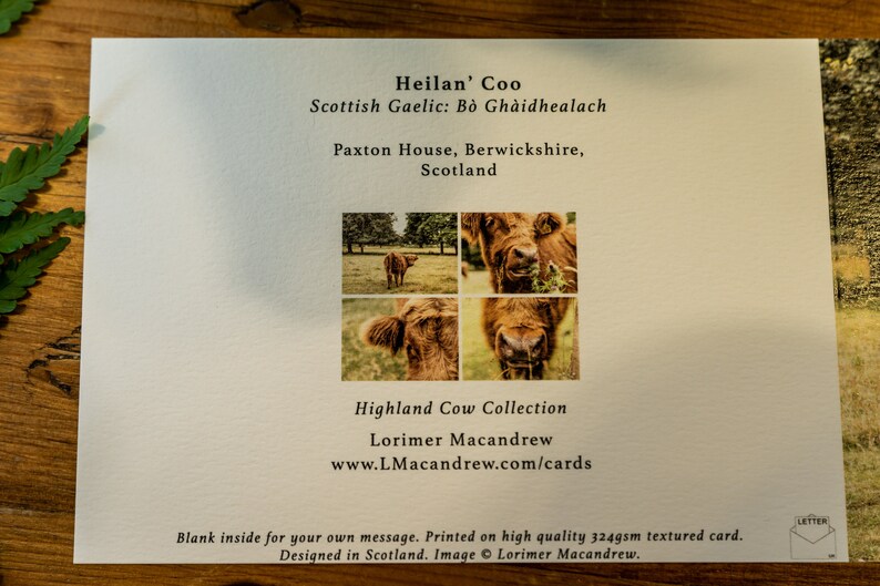 Highland Cow Greetings Cards 4 image 10