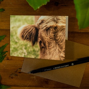 Highland Cow Greetings Cards 4 image 3