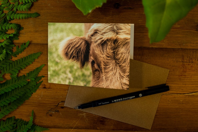 Highland Cow Greetings Cards 4 image 3