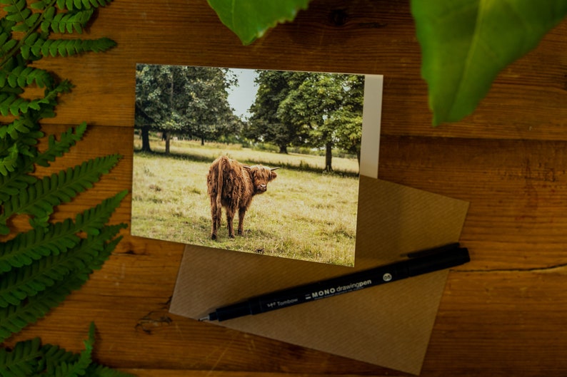 Highland Cow Greetings Cards 4 image 4