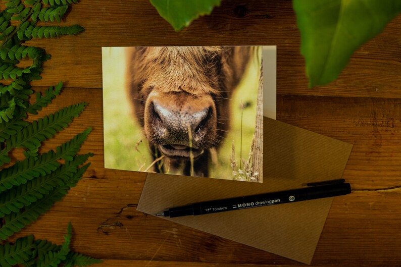 Highland Cow Greetings Cards 4 image 2