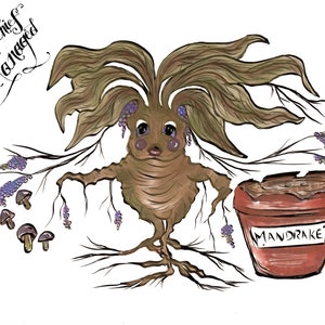 Mandrake coloring page printable fan art. Harry Potter Fan | Etsy