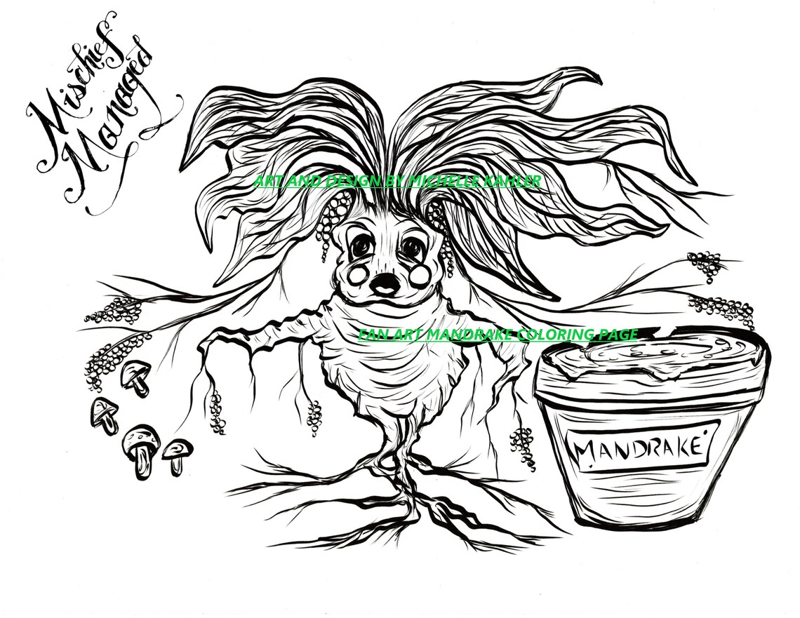 Mandrake coloring page printable fan art. Harry Potter Fan | Etsy