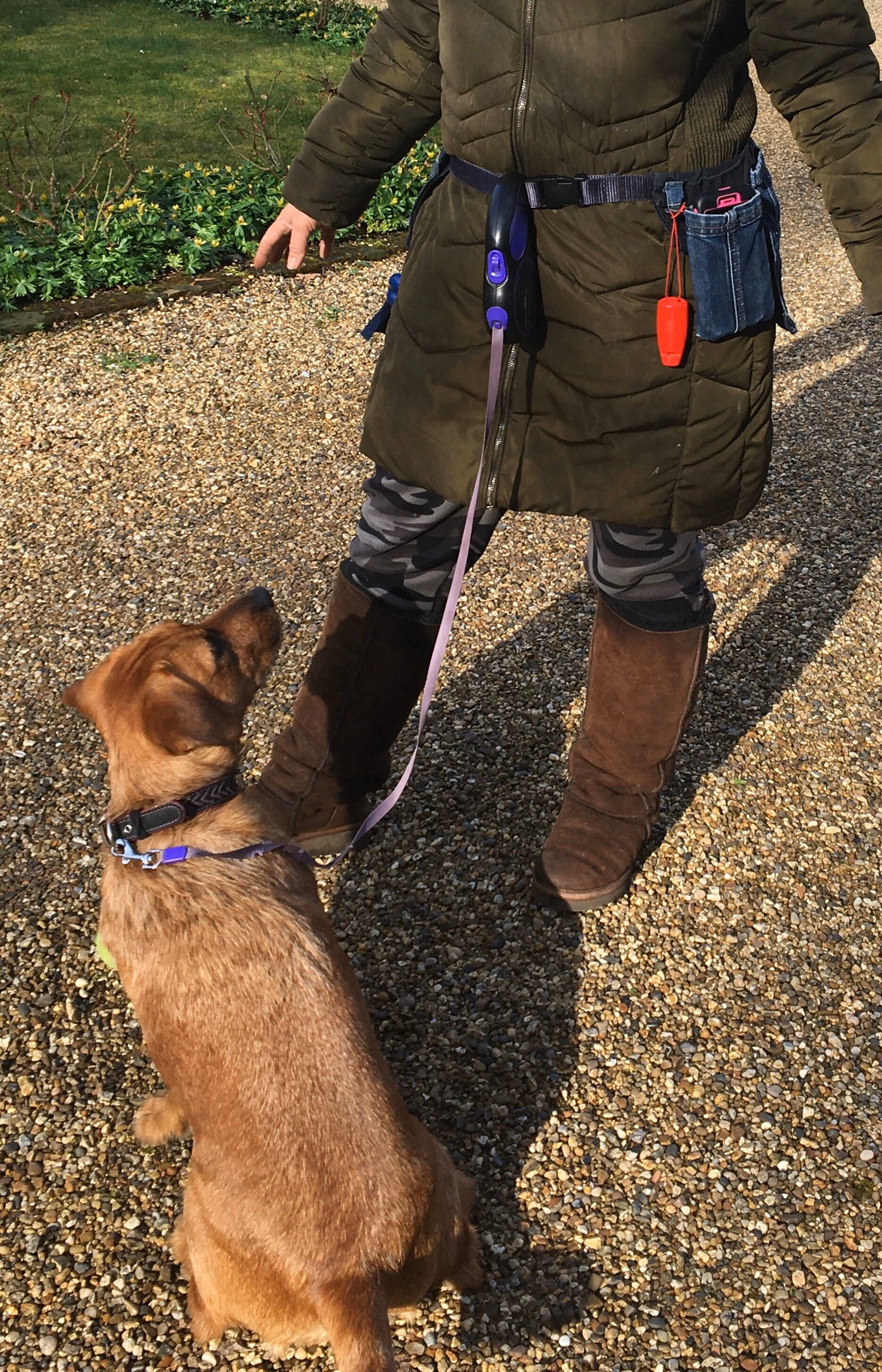 Dog Walking Utility Belt/Bag Small to Medium Made to Order Etsy