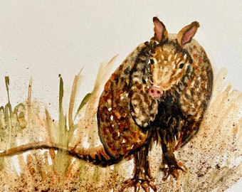 Armadillo, Art Print, Coffee & Watercolor Painting by Wendra