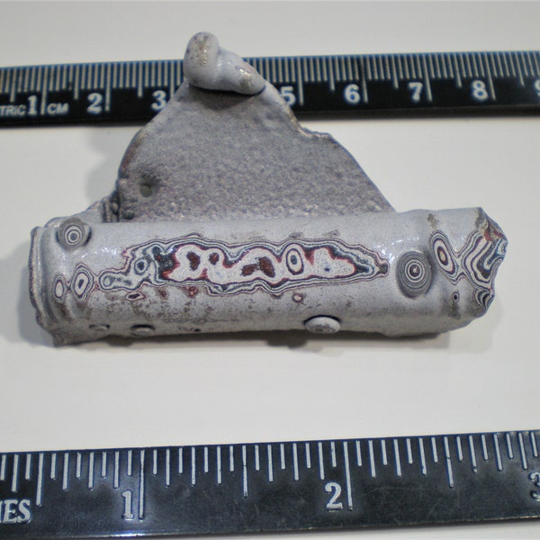 Beautiful piece of RAW FORDITE with white, black and red layers ready for cabbing