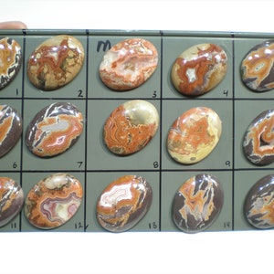 DRYHEAD AGATE Cabochons U Pick--#M