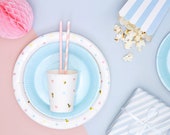 6 Light Blue Party Plates, Birthday Party Plates, Wedding Party Plates, Anniversary Party, Engagement Party, Birthday Party Decorations