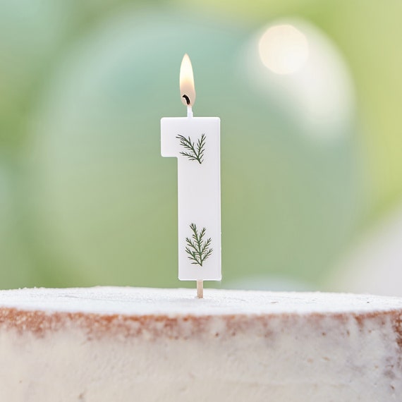 Número botánico 1 vela de cumpleaños, velas de números, topper de pastel de  1er cumpleaños, vela de pastel de 1er cumpleaños, topper de pastel de edad,  fiesta de aniversario -  México