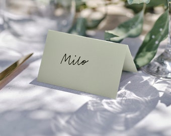 10 Sage Wedding Place Cards, Wedding Table Place Cards, Party Place Cards, Rustic Wedding, sage Place Cards, Wedding Decor