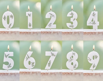 Botanical 0-9 Number Candles, Botanical Birthday Candles, Birthday Cake Topper, Birthday Cake Candle, Age Candle, Anniversary Party Candles