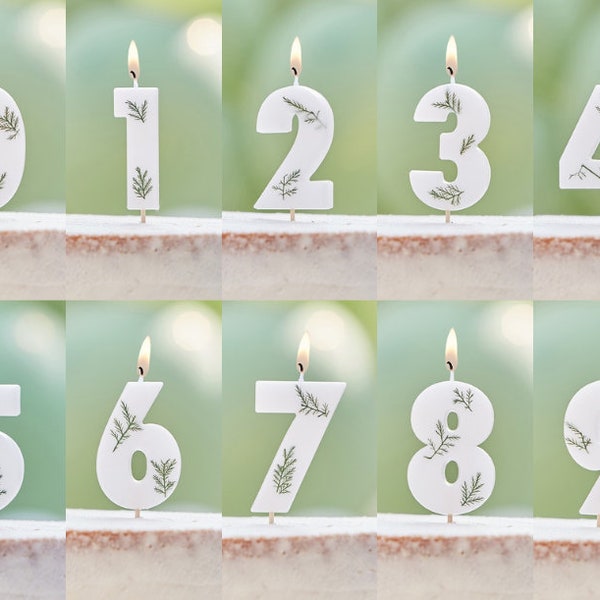 Bougies botaniques chiffres 0-9, Bougies d'anniversaire botaniques, Décoration de gâteau d'anniversaire, Bougie pour gâteau d'anniversaire, Bougie d'âge, Bougies de fête d'anniversaire