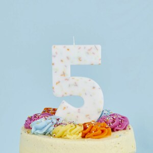 Number 5 Rainbow Sprinkle Candle, 5th Birthday Candles, Birthday Cake Candle, Birthday Party Decorations, Rainbow Decorations, Age Candles image 1