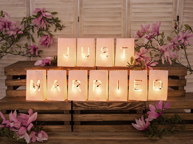 Just Married Paper Lanterns Wedding Decorations Rustic Etsy Canada
