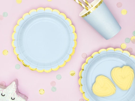 6 Light Blue Gold Party Plates Birthday Party Plates Wedding Etsy