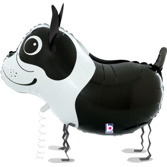 26 Boston Terrier Dog Walking Balloon Animal Party Etsy