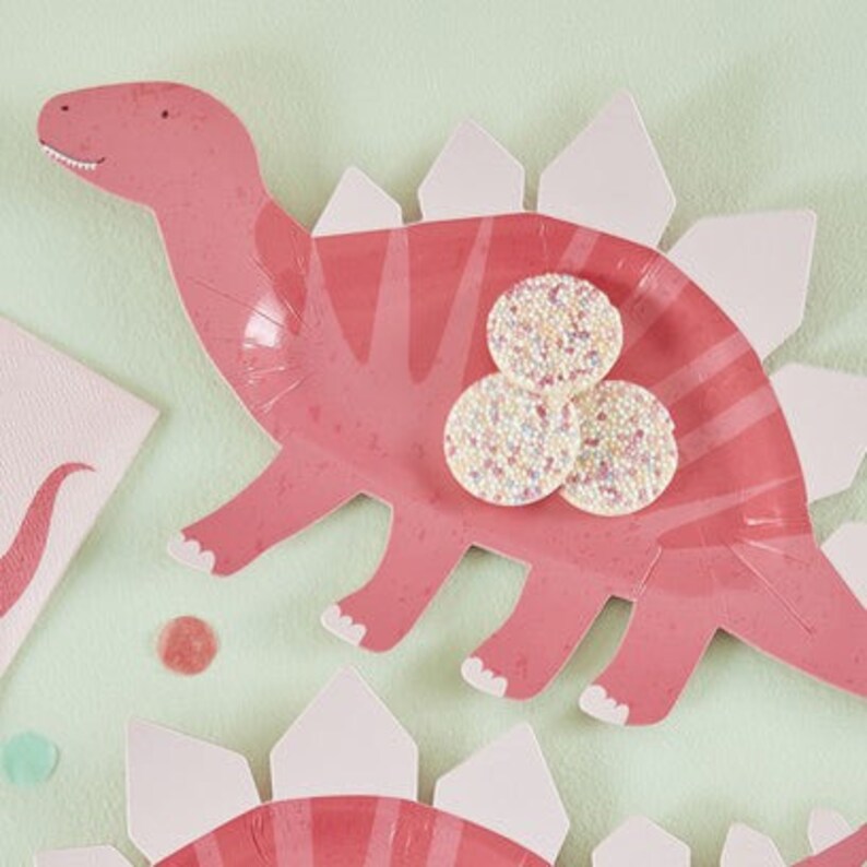 Pink Dinosaur Party Plate Birthday Party Decorations Pink Etsy