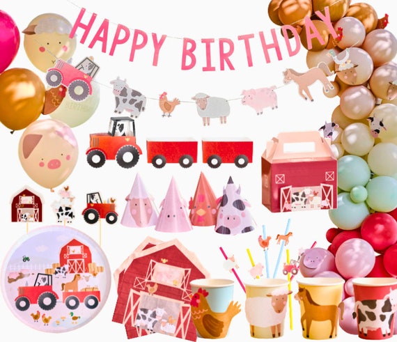 Paquete de 24 suministros para fiesta de cumpleaños de granja, bolsas de  dulces de animales de granja, decoraciones de fiesta de granja