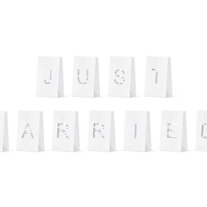 Just Married Paper Lanterns, Wedding Decorations, Rustic Wedding Decor, White Just Married Paper Lanterns image 2