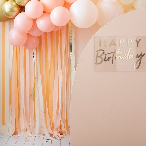 Birthday Girl Streamer Backdrop Party Decorating Kit - Pink
